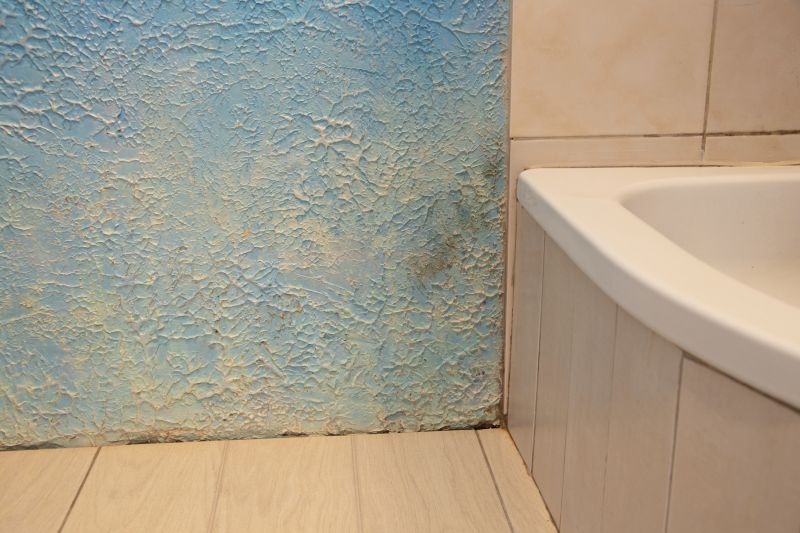Bathroom Water Damage Repair in Denver County, CO